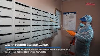 Дезинфекция без выходных
