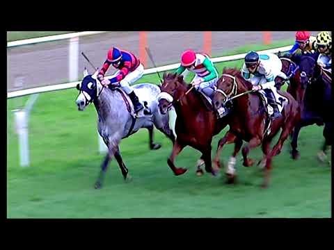 Galoppo 12/12/2020 - 3ª corsa