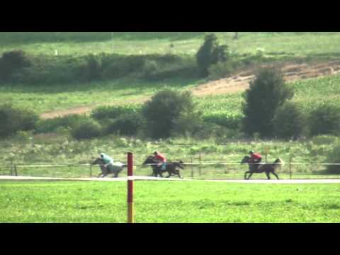 YUNA BIN HAWI - LAST ZOFIJA KLINC - JOCKEY PETER POŽAR 1. MESTO