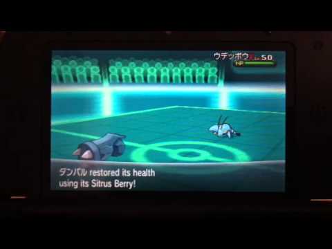 Pokemon X and Y pokemon WiFi battle: Wonder cup