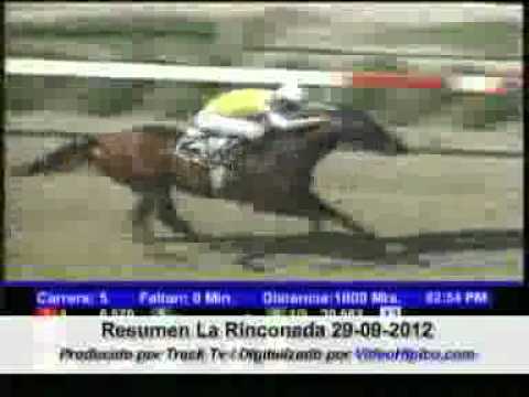 Resumen La Rinconada 29-09-2012