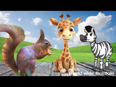 Animals Video : All cute animals and it's names Part 17  w2a