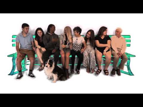 2016 AAHSFF Official Selection - "Bench For All"