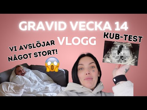 GRAVID VECKA 14,  KUB , avslöjar något stort