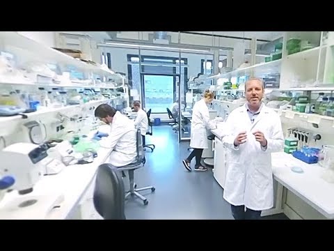 Uni Köln 360˚ // CECAD Lab Meetup with Prof. Björn Schumacher & Diletta Edifizi