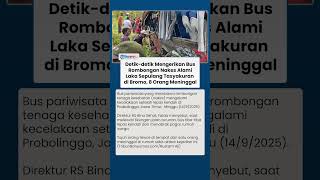 Ngeri Detik-detik Bus Rombongan Nakes Kecelakaan Sepulang Tasyakuran di Bromo, 8 Orang Meninggal