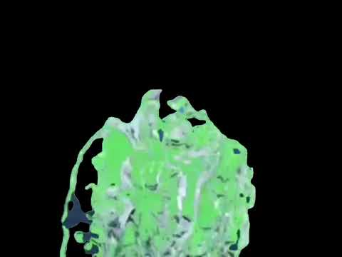 The Backyardigans Flower Power Alternative Ending