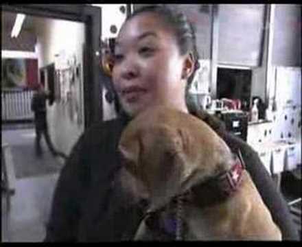 2007 Doblaje Guarderia de Perros Mezclas voz Yolanda López