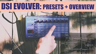 Video thumbnail for Dave Smith Instruments Evolver: Presets + Overview by Benn Jordan