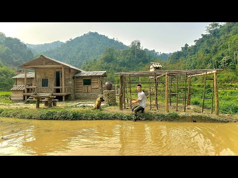The journey to building an automated life amidst nature.