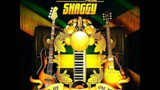 Shaggy - Trouble Under Your Roof