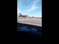 Seagulls In The Parking Lot