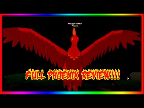 Feather Family FULL Phoenix REVIEW!!!!