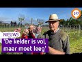Actie voor Betuwse wijngaard, kelder ligt vol met 4,5 duizend flessen wijn