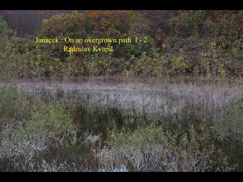 Janacek : On an overgrown path I - 2