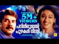 പനിനീരുമായി പുഴകൾ നീന്തി Panineerumayi Vishnu Mammutti S