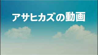 動画投稿遅れたお話し