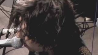 Sparklehorse, "Painbird"