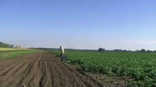 Probiotechnologia w uprawie ziemniaków - Jan Marczakiewicz (RZD Chylice, SGGW)