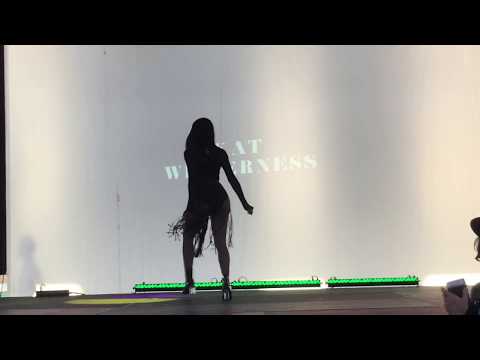 Bushwig 2017 (SUN) - Kat Wilderness