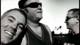 Sublime/Jack Johnson - Badfish/Boss DJ