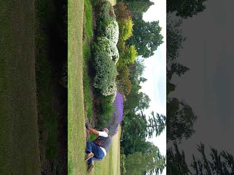 Gardening 3 minutes +