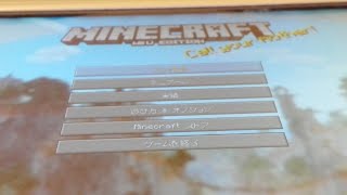 マイクラwiiuのんびりサバイバル(はいってきていいよ)