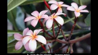 Amor mio K-paz de la Sierra