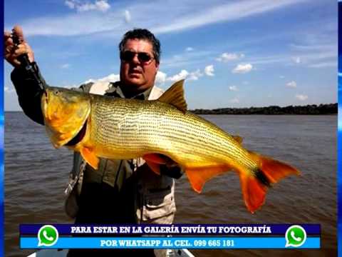 PescAventura Programa 130