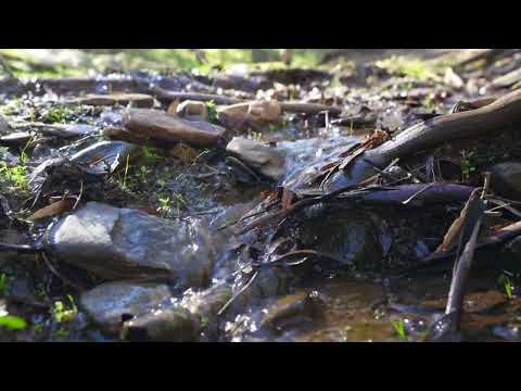 'Sweetwater' 198 Tinmines Road, Mullengandra