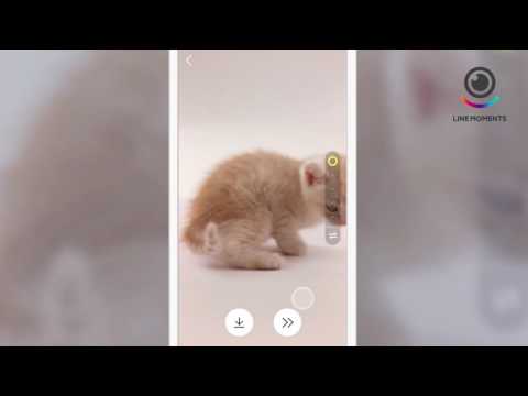 LINE、ループやスロー動画を楽しめる「LINE MOMENTS」Androidにて先行公開 - 週刊アスキー