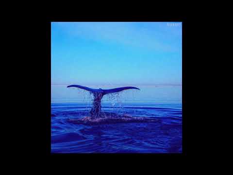 Hansiii - Waves