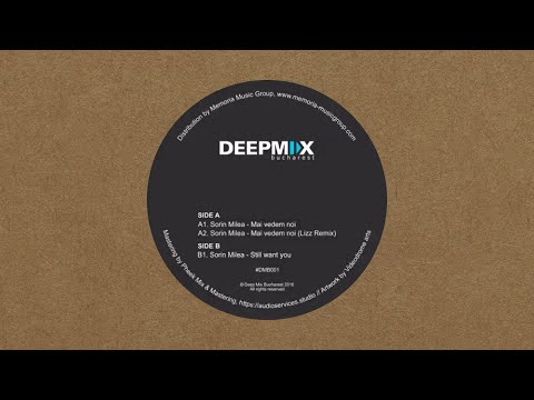 Sorin Milea - Still Want You [DMB001]