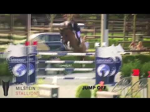 DIESEL GP DU BOIS MADAME GCT Valkenswaard 150 8th