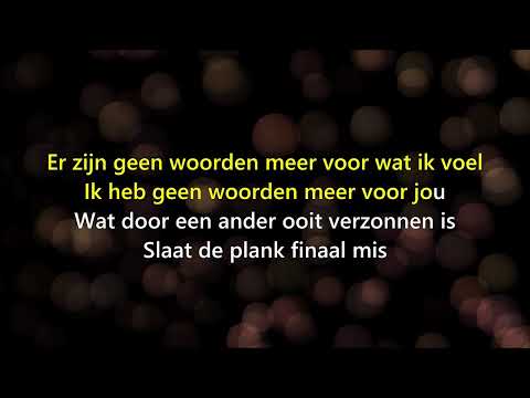 KARAOKE 🎤 De Jazzpolitie - Liefdesliedjes