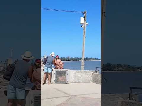 El Aguila Villa Argentina Canelones