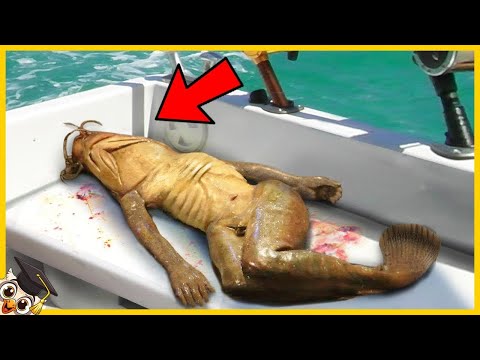 The 50 Scariest and Most Bizarre Things Found Underwater