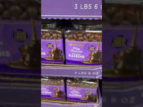MILK CHOCOLATE COVERED RAISINS #chocolate #milkchocolate #shorts