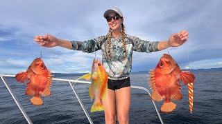 Offshore Fishing Colombia: GIANT Rooster Fish & NEW World Record Fish!