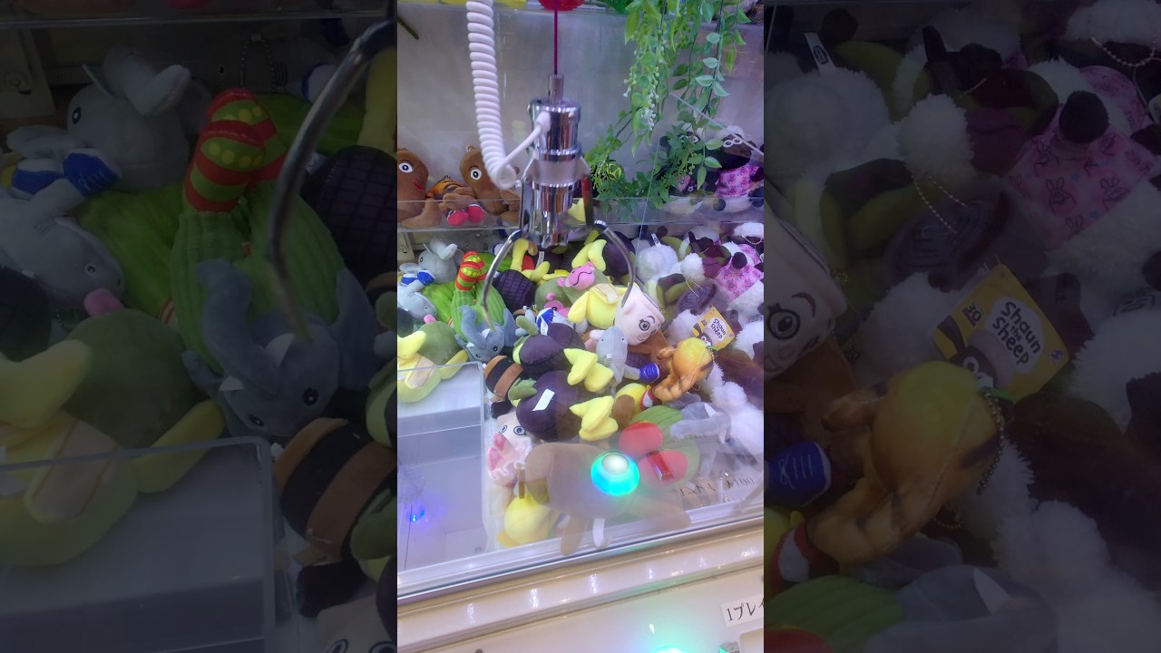 駄菓子屋でクレーンゲーム見つけたけど…