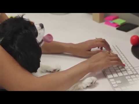 Gone to the Dogs | Target Made to Matter