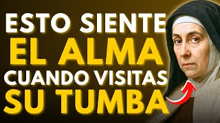⚠️SANTA TERESA CONFIRMÓ: LO QUE EL ALMA SIENTE CUANDO VISITAS SU TUMBA — ¡POCOS LO SABEN!