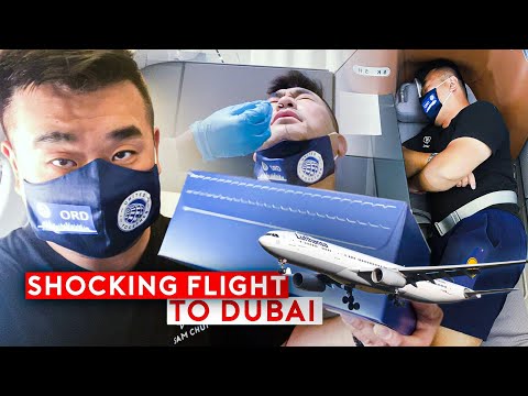 Vol choquant en classe affaires Lufthansa vers Dubaï - Procédures d'arrivée à Dubaï