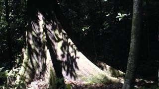 Madredeus -  Miradouro De Santa Catarina.avi