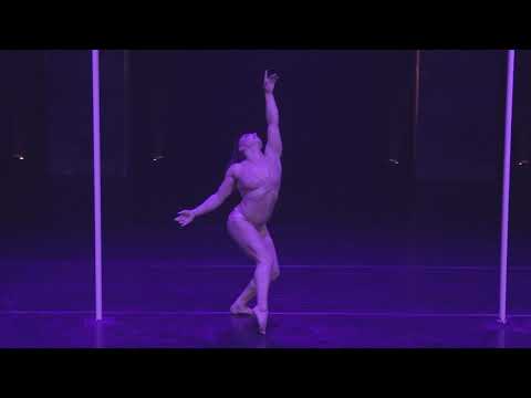 Pole Art France 2018 - Elite Women - Camille De Haas - 1ST PLACE