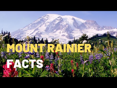 Discover the Majestic Mount Rainier for Kids | Exploring Nature's Wonders