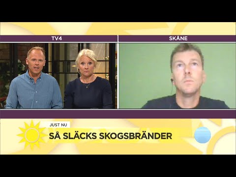 Så släcks skogsbränder - folk på marken ett måste för att få stopp på lågorna - Nyhetsmorgon (TV4)
