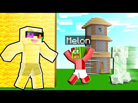 Sunny - Using INVISIBILITY To PRANK My Friend in Minecraft!