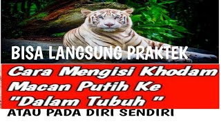 Download lagu CARA MENGISI KHODAM MACAN PUTIH KE DALAM TUBUH ATAU PADA DIRI SENDIRI mp3