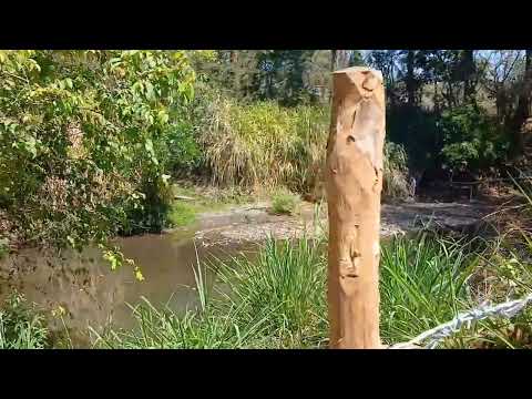 11 MANZANAS de tierra en VENTA con Río y a orilla del ASFALTO Nueva concepcion Escuintla 